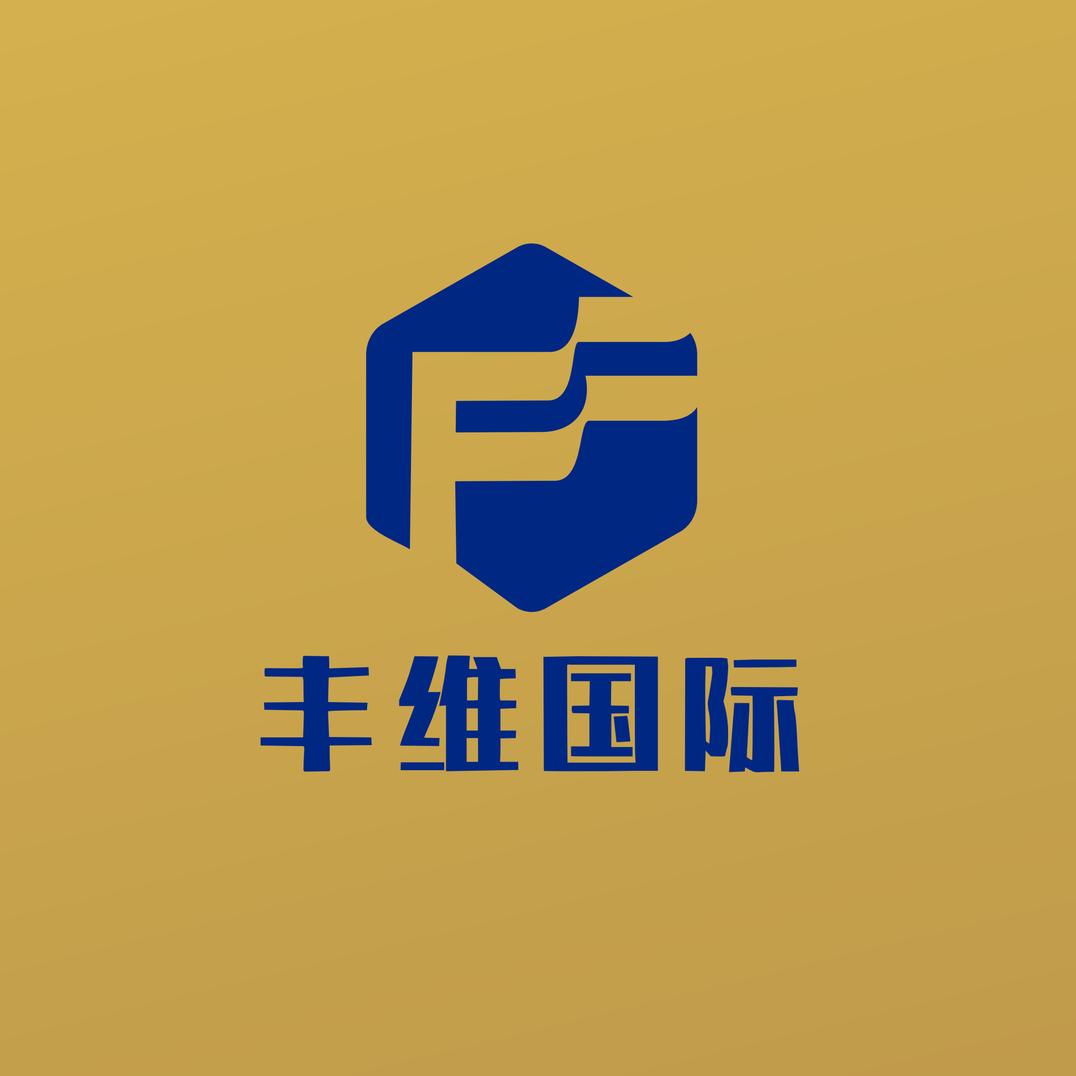 海南丰维国际贸易有限公司